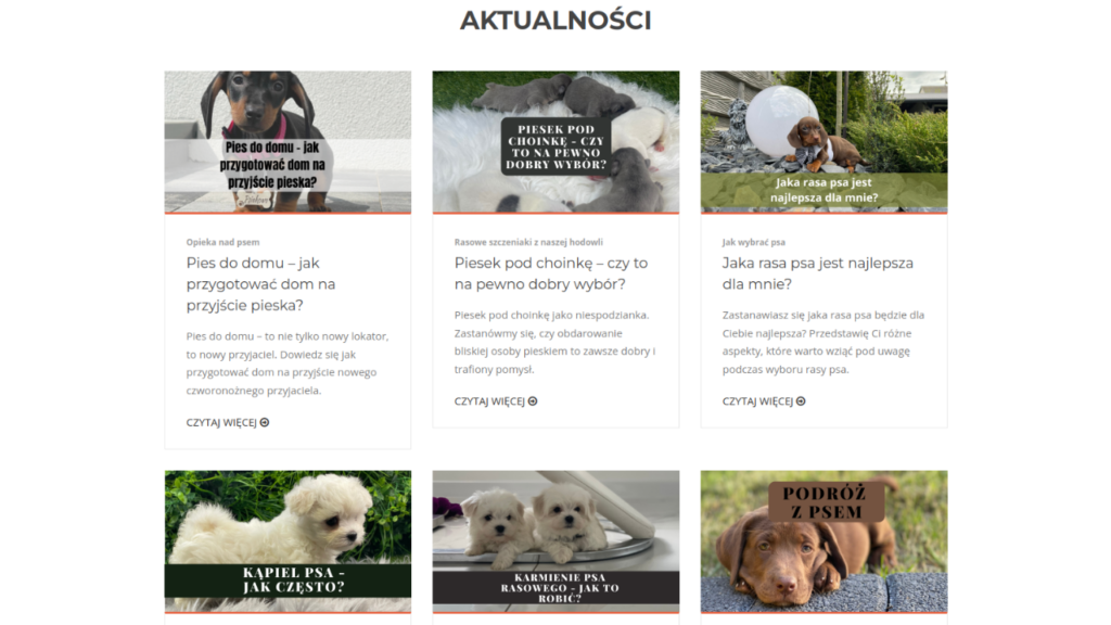 Największa siła strony - część blogowa - aktualności