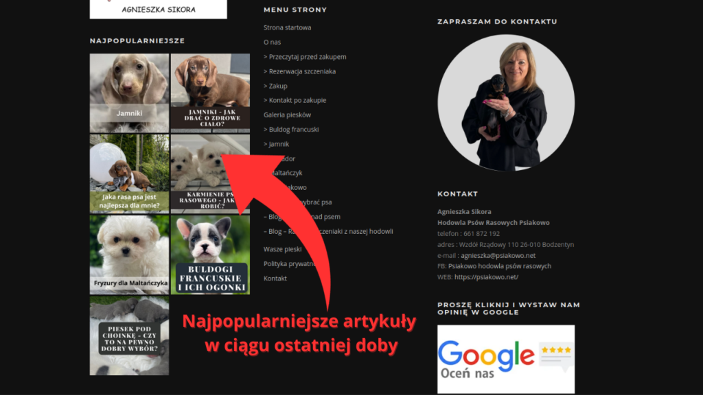 Popularność artykułów można sprawdzić na stronie